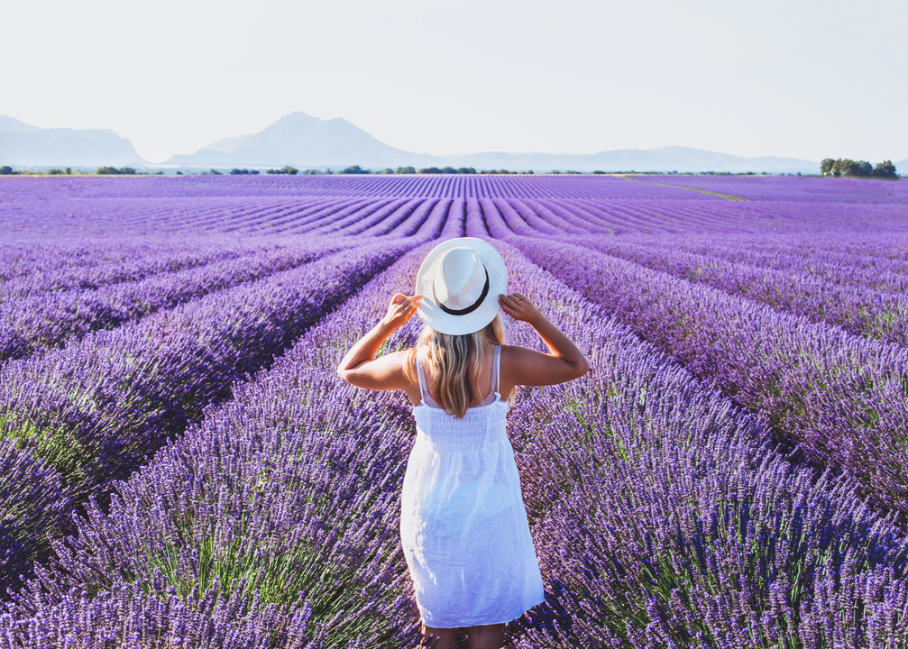 dream and inspiration, summer happy woman in lavender field